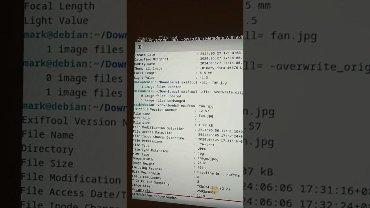 Photo Privacy on Linux: How to Remove Metadata Using exiftool