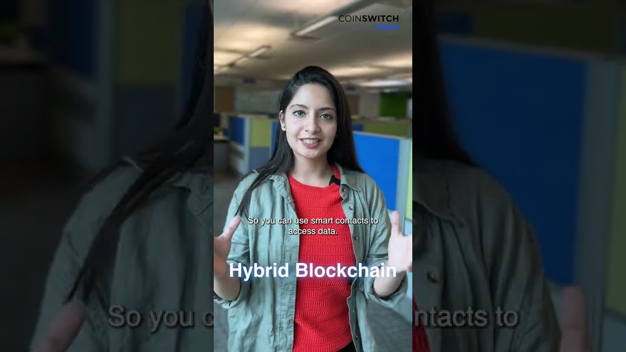 Explore the Various Types of Blockchain Technology 🔍