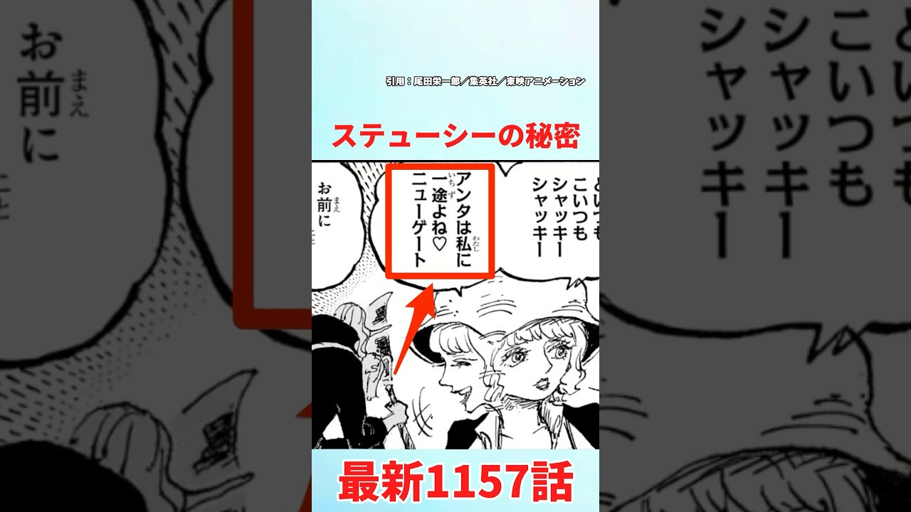 【最新1157話】ステューシーの秘密がついに判明!ワンピースの衝撃展開🔥