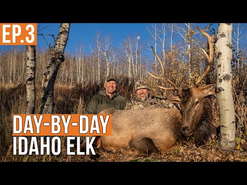BULL ELK DOWN | Idaho Backcountry Elk Hunt (Ep.3)