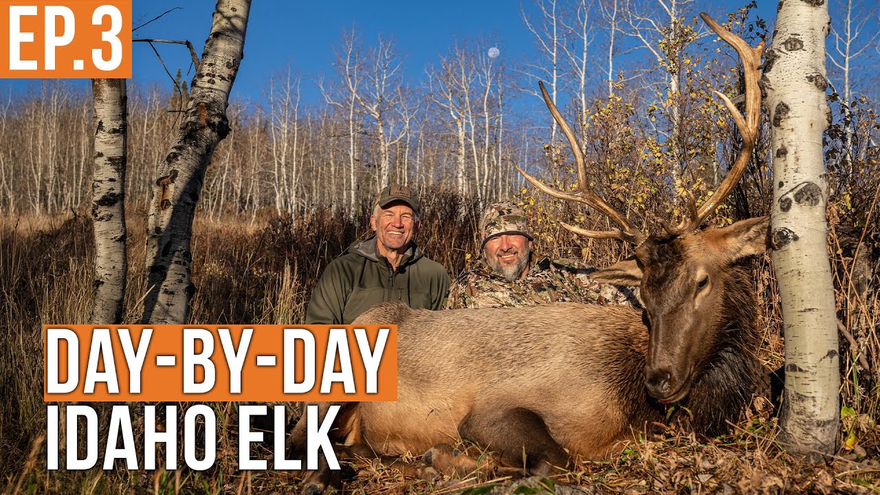 Epic Idaho Backcountry Elk Hunt: Steve Finally Tags a Bull 🦌 (Ep.3)