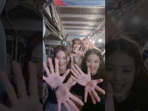 #BLACKPINK 만 남아🖤💖 #JISOO_FLOWER #지수꽃 #JISOO #지수 #JENNIE #제니 #ROSÉ #로제 #LISA #리사 #FLOWERchallenge