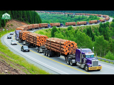 284 Die Stärksten Forstmaschinen, die auf einem anderen Level arbeiten: Forsttechnik der Extraklasse