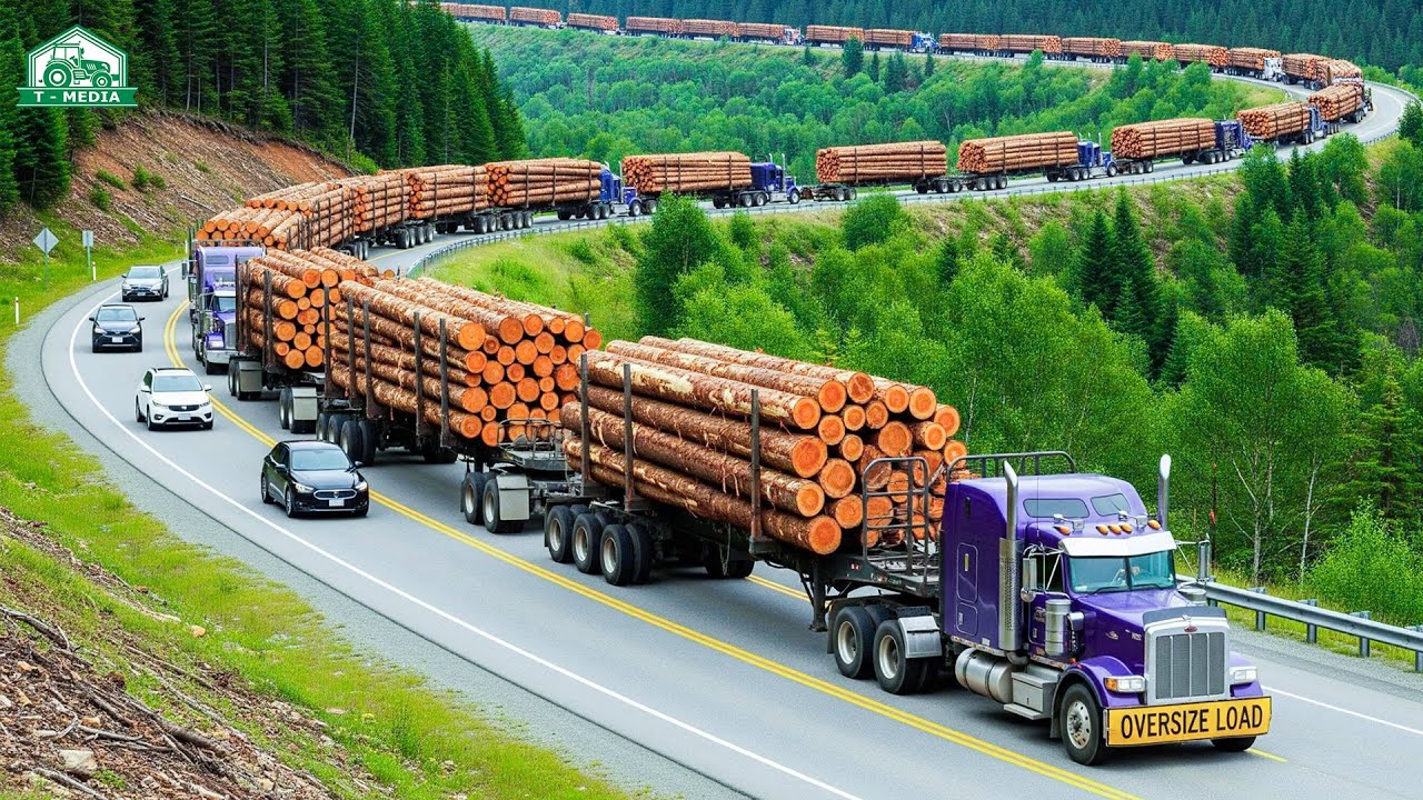 284 Die 284 besten Forstmaschinen: Kraftvoll & High-Tech für professionelle Holzarbeit 🌲