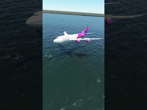 the great pilot of Wizz's plane // when bad weather hits.RP