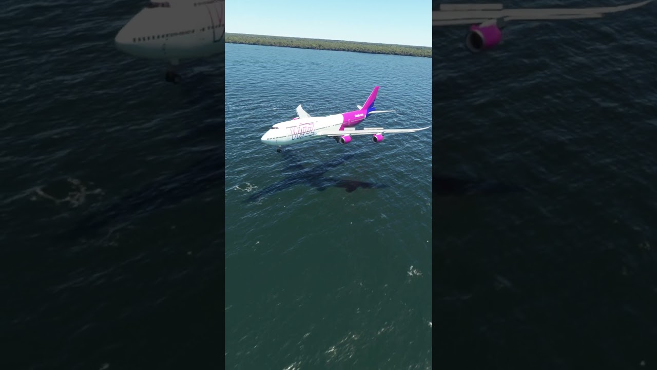 Wizz Air Pilot's Amazing Skill During Bad Weather ✈️