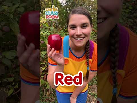 Red Yellow Green Blue! #shorts #caitiesclassroom #colors