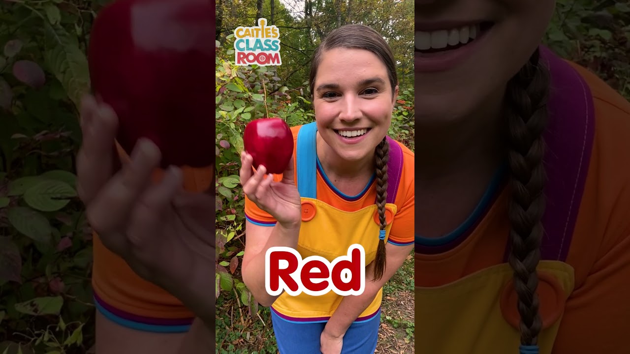 Red, Yellow, Green, Blue! Color Recognition Challenge #shorts