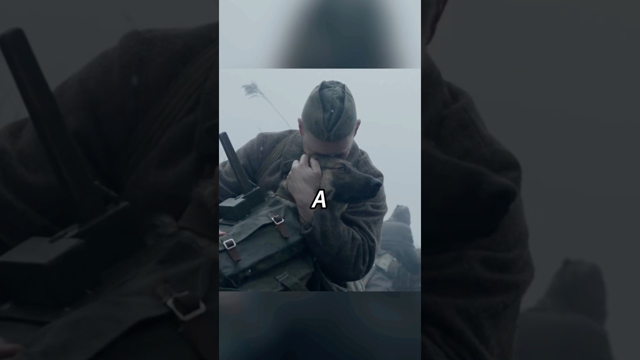 Shocking Truth: Dogs Used as Suicide Bombers and War Machines ๐ก