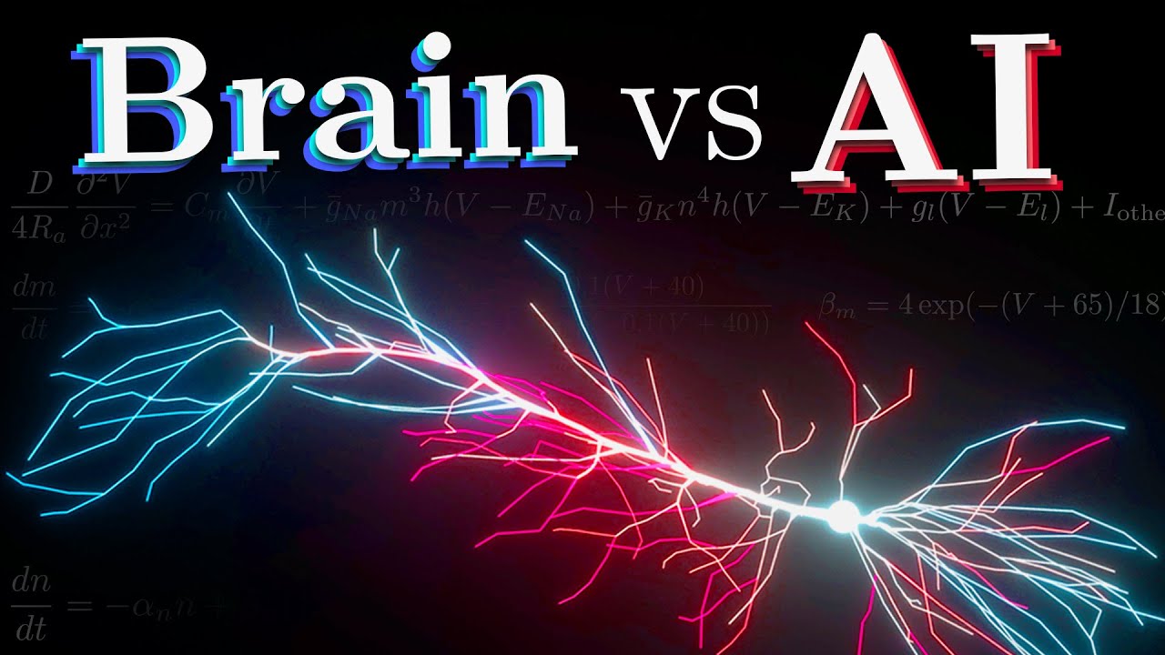 Dendrites Unveiled: How Biological Neurons Mirror Deep Neural Networks ðŸ§