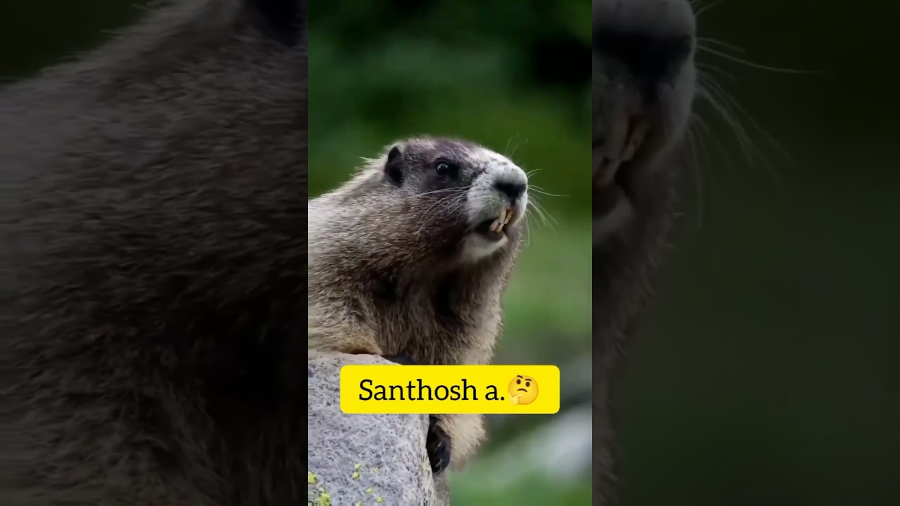 Santosh Fanny Short Video 😂