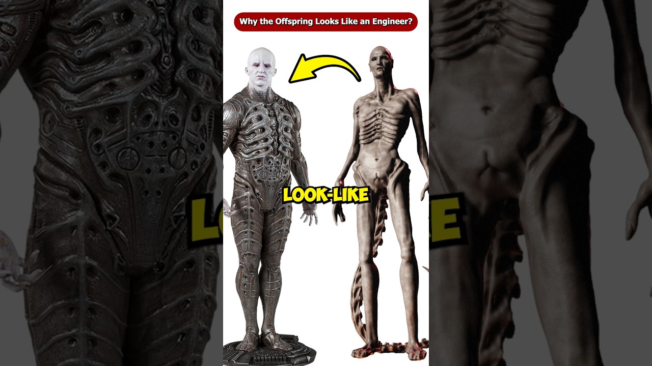 Why the Offspring Looks Like an Engineer in Alien Romulus