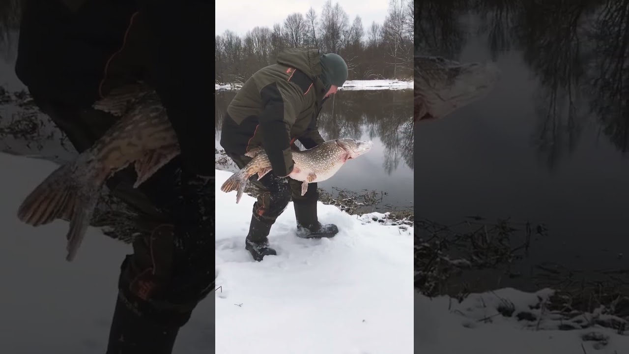 Гигантская ЩУКА 2025: Трофейная 15 кг Зимой на Спиннинг! 🎣