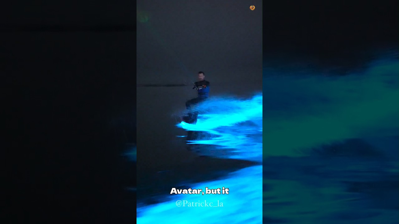 Real-life Avatar Glowing Water! | Bioluminescence Explained