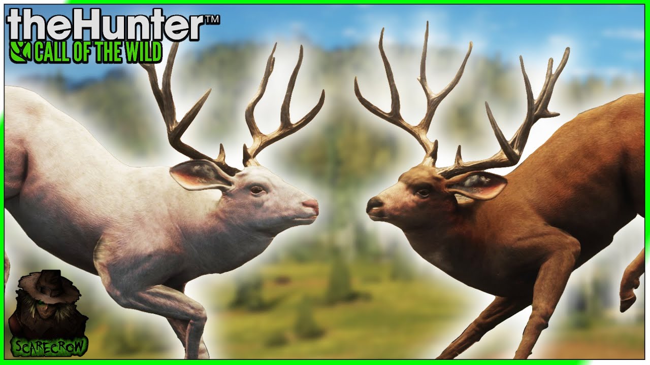 A MASSIVE Albino TruRACS Mule Deer + A Level 6 Giant! Call of the wild