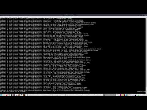 ALT Linux 9.1: Файловый и терминальный сервер 🖥️