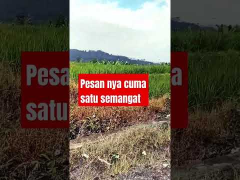 pesan nya cuma satu penyemangat diri sendiri#shorts#pesanmotivasi