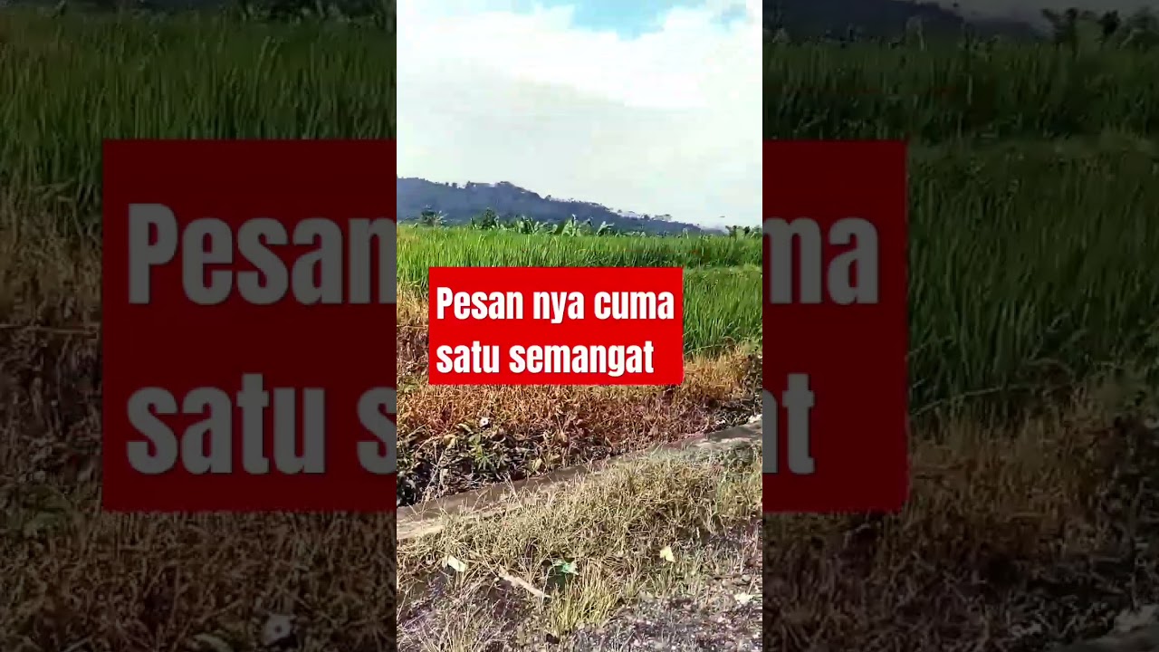 Semangat Diri Sendiri 💪 | Pesan Motivasi Singkat