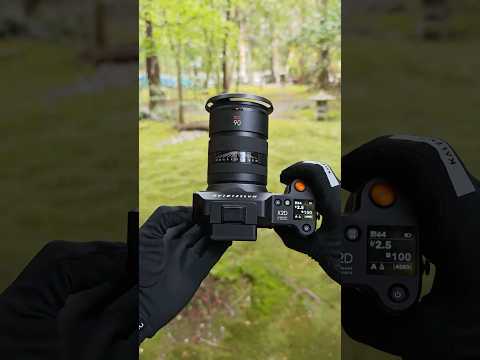 Hasselblad X2D 100C: See How 100MP Captures Nature's True Colors