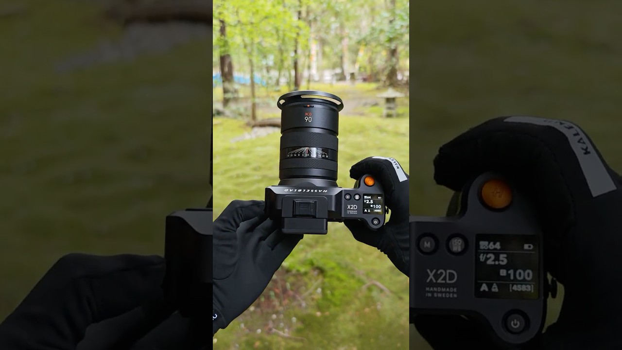 Hasselblad X2D 100C: 100MP for True Nature Colors