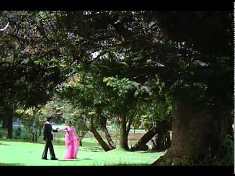 Santhana Kaatre Video Song | Thanikattu Raja Movie Songs | Rajinikanth | Sridevi | Ilayaraja