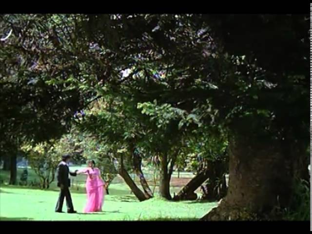 Santhana Kaatre Song from Thanikattu Raja 🎶 | Rajinikanth & Sridevi Classic Tamil Movie