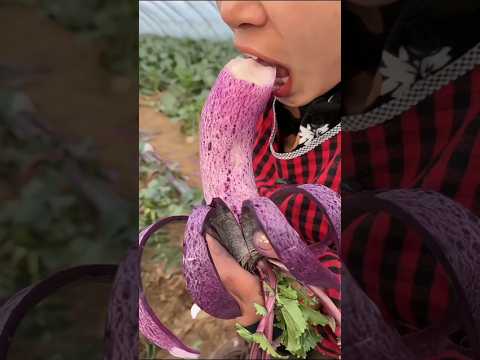 GMO Foods: Science & Facts 🌱