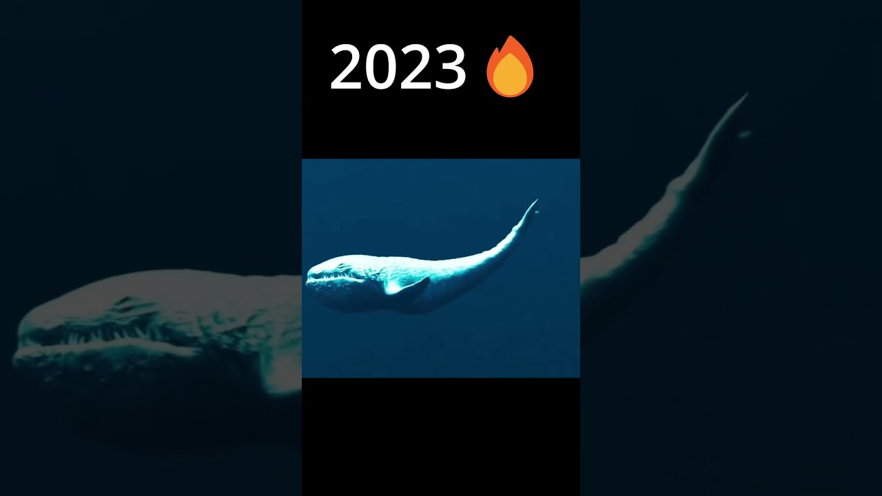 Bloop Evolution 2022-2024 🌊