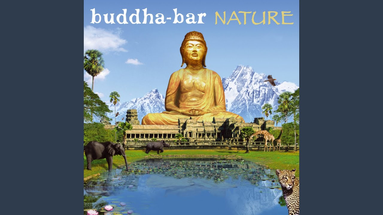 El Corazon by Arno Elias 🎶