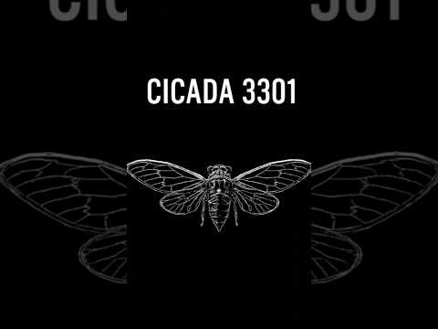 Cicada 3301: The Internet’s Greatest Unsolved Mystery