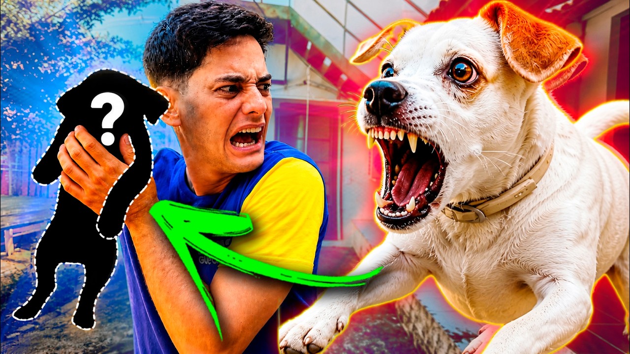 ELA NÃO GOSTOU DO NOVO MASCOTE DO CANAL
