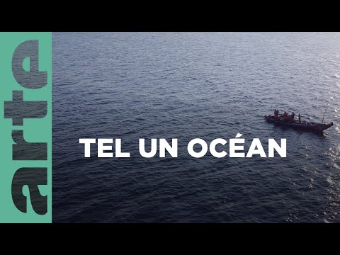 Le lac Tanganyika, la source de vie de l'Afrique | ARTE