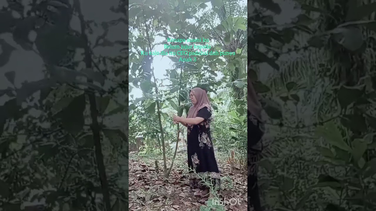 Korban Drakor Korea: Drama dan Kisah Mengharukan