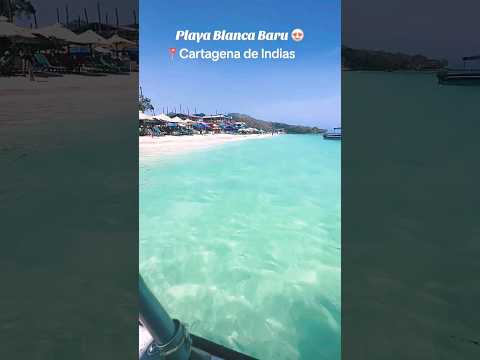 Playa Blanca Baru: Cartagena De India #colombia #playa #playas #playablanca #cartagena #shortvideo