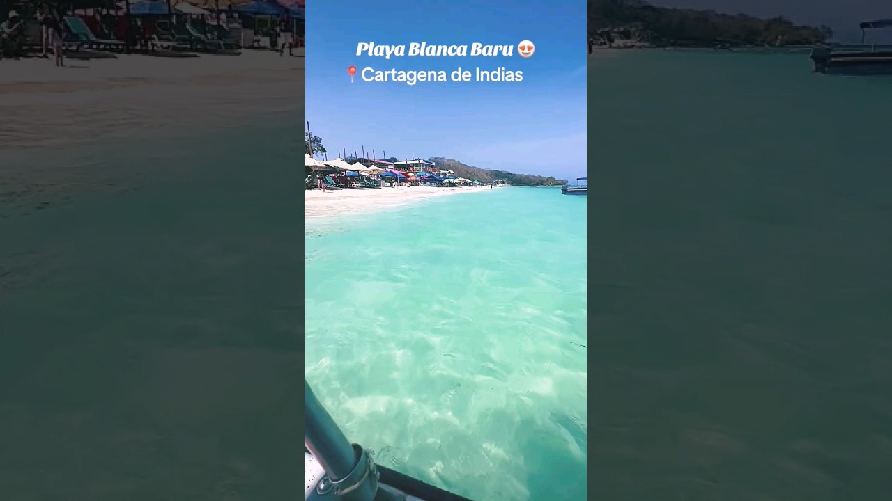 Playa Blanca Baru: Cartagena de India