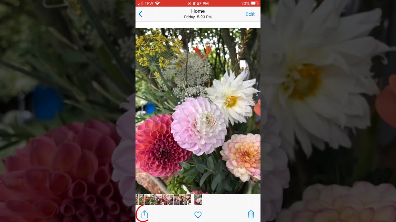 Send Photos from Your Phone to Gmail πΈ
