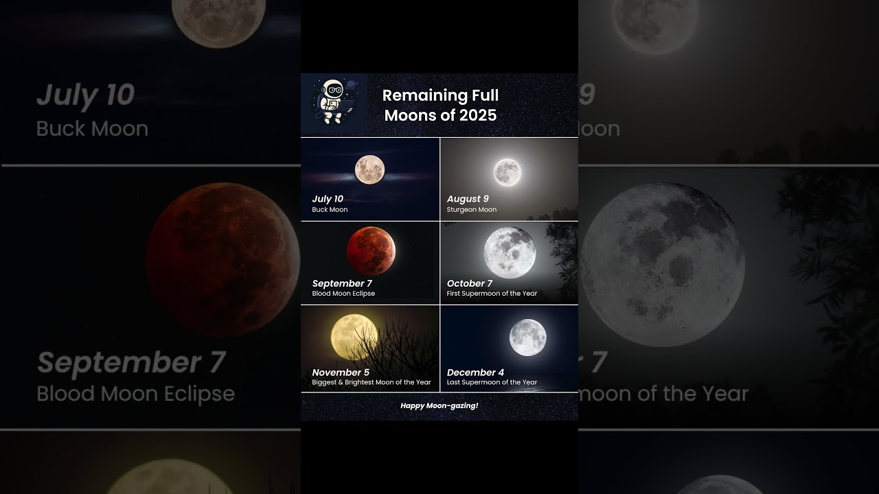 2025 Full Moon Dates 🌕✨