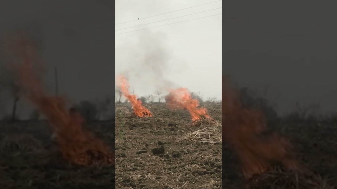 India’s Main Air Pollution Source: Continuous Burning 🔥