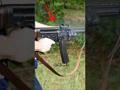 What Really Happened to the StG 44 After WWII? #shorts