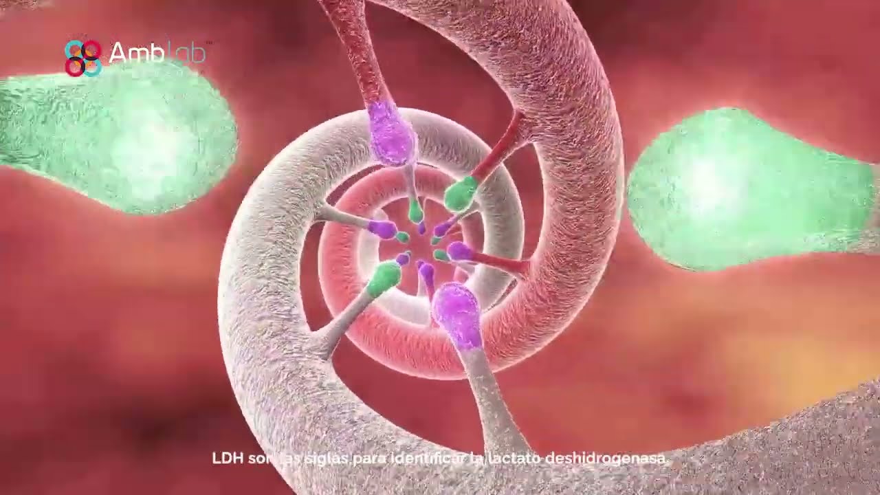 LDH Alto: Significado y Relevancia 🧬