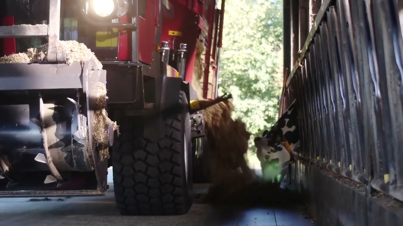 RMH Turbo Gold by RMH Agri 🌾