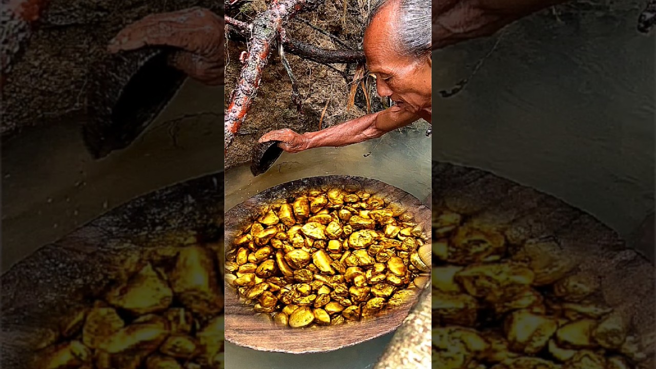 Penemuan Emas Termahal di Bawah Akar Pohon Liar 💰