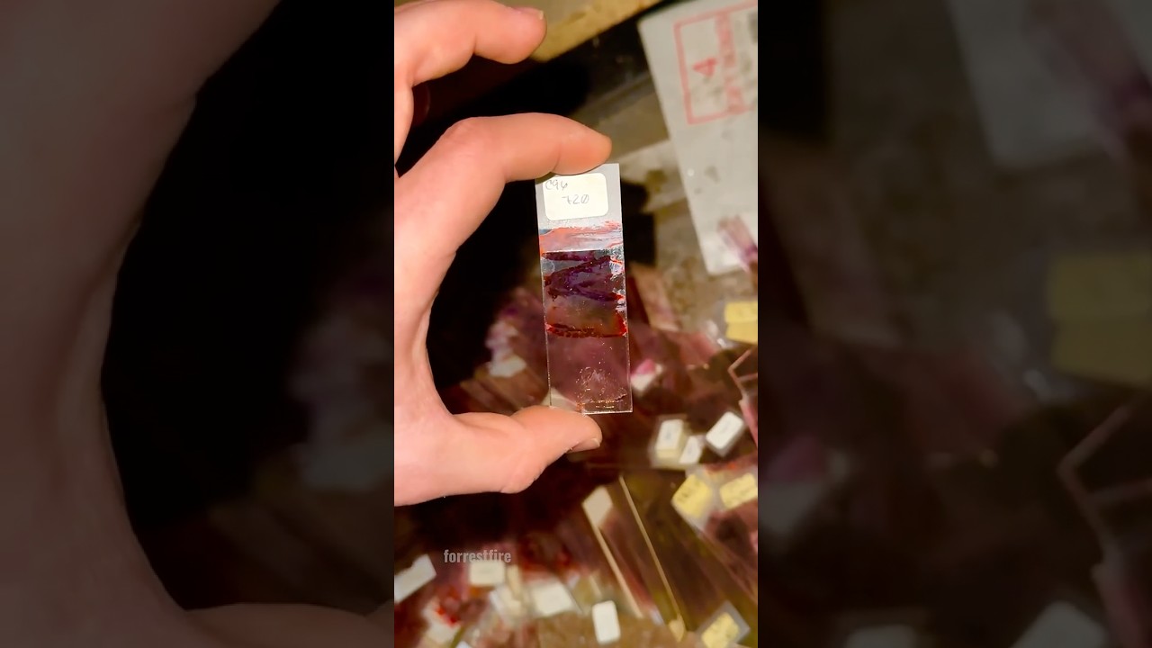 17+ Urban Exploration Content Warning ⚠️