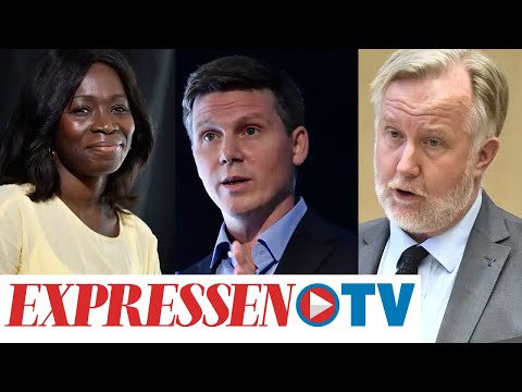 Liberalerna: De tävlar om att ta över som partiledare