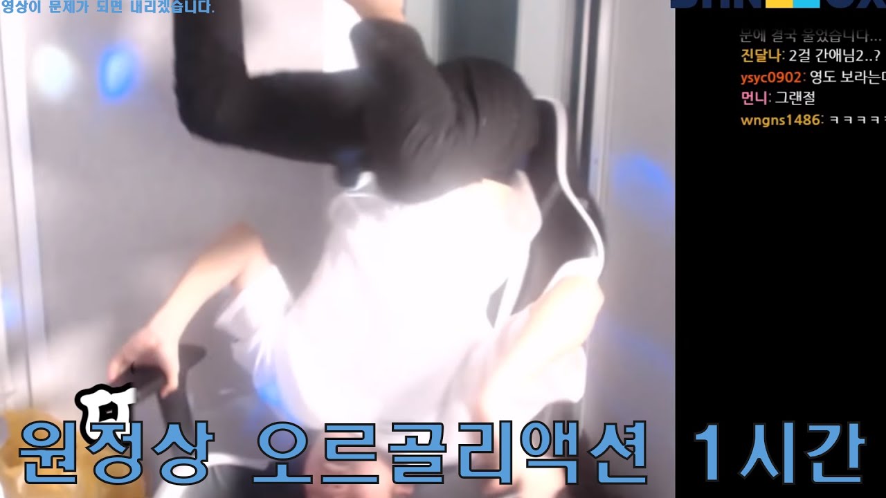 원정상 오르골 리액션 1시간 🎶