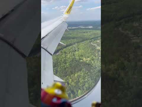 Flying Over the Amazon Rainforest ๐ณ