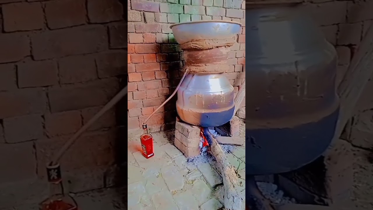 Desi Punjabi Sharab π₯ #Shorts