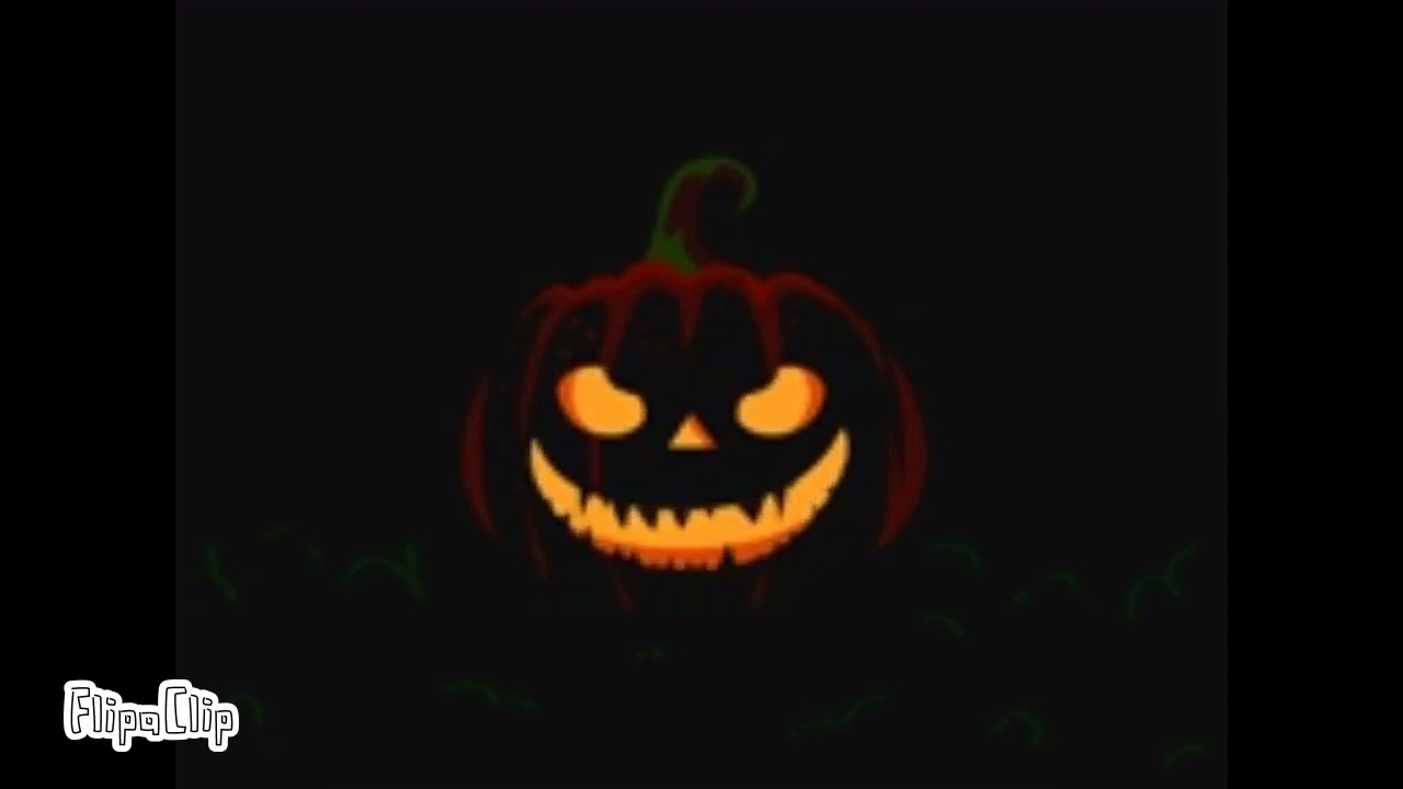 Fididi: Discover Unique Content