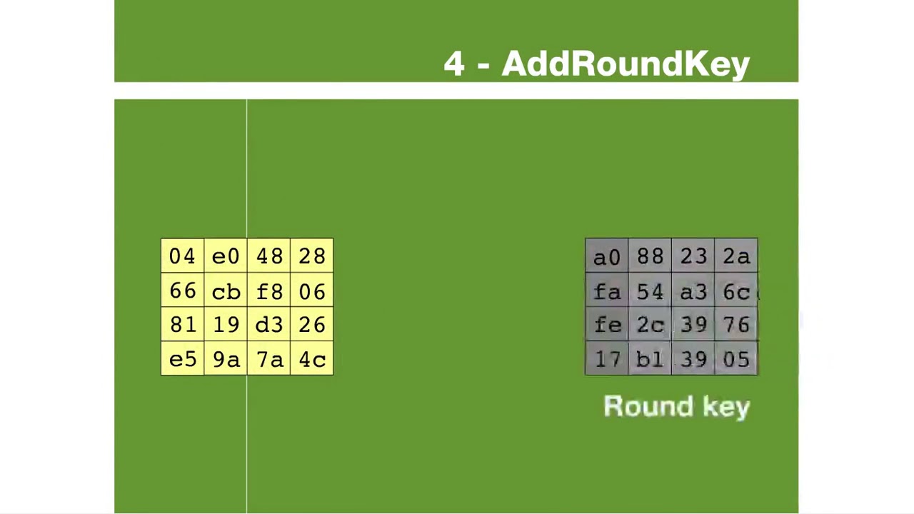 Explore the AES Rijndael Encryption Process 🔐