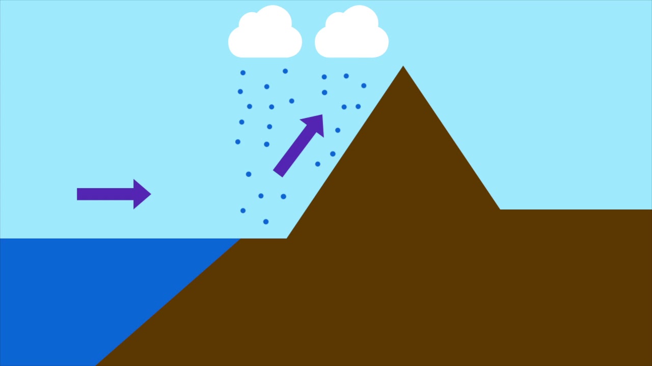 3 Types of Rainfall: Orographic, Frontal & Convectional 🌧️